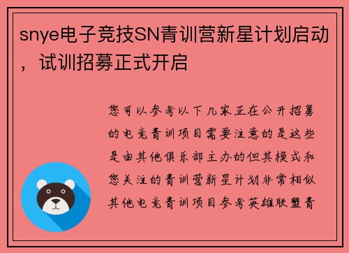 snye电子竞技SN青训营新星计划启动，试训招募正式开启
